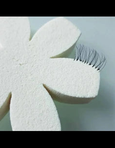 Spugnetta in lattice - 6 spicchi